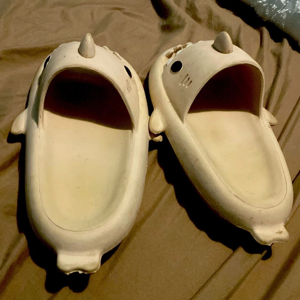 Shark slides